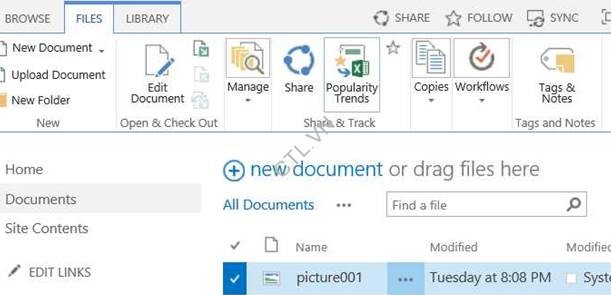 báo cáo của sharepoint server 2013