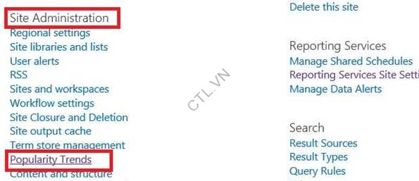 bao cao cua sharepoint 2013