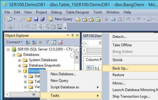 Backup database sql server (23)