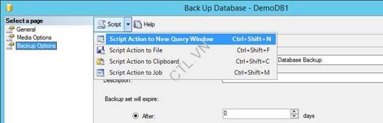 Backup database sql server (28)