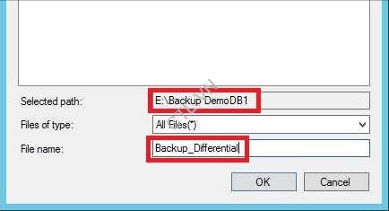 Backup database sql server (7)