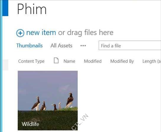 quan-ly-thu-vien trong sharepoint