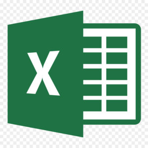 excel services