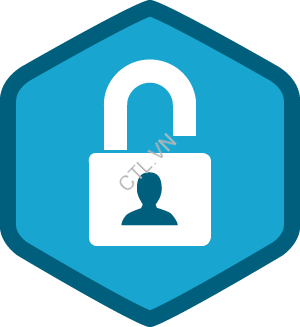 Labs.vnseolab.com