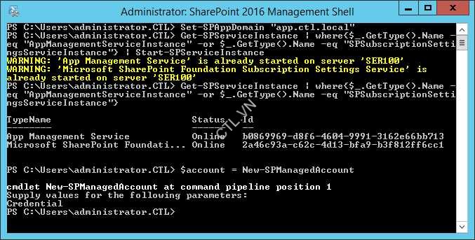 Cấu Hình và Cài Đặt SharePoint App Store